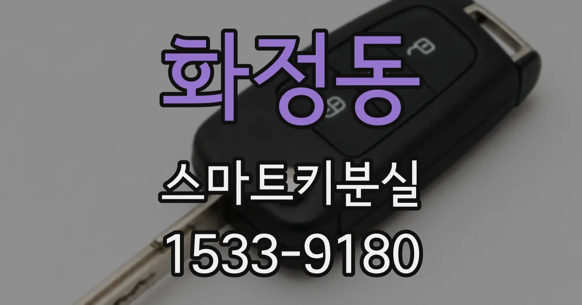 화정동 스마트키분실