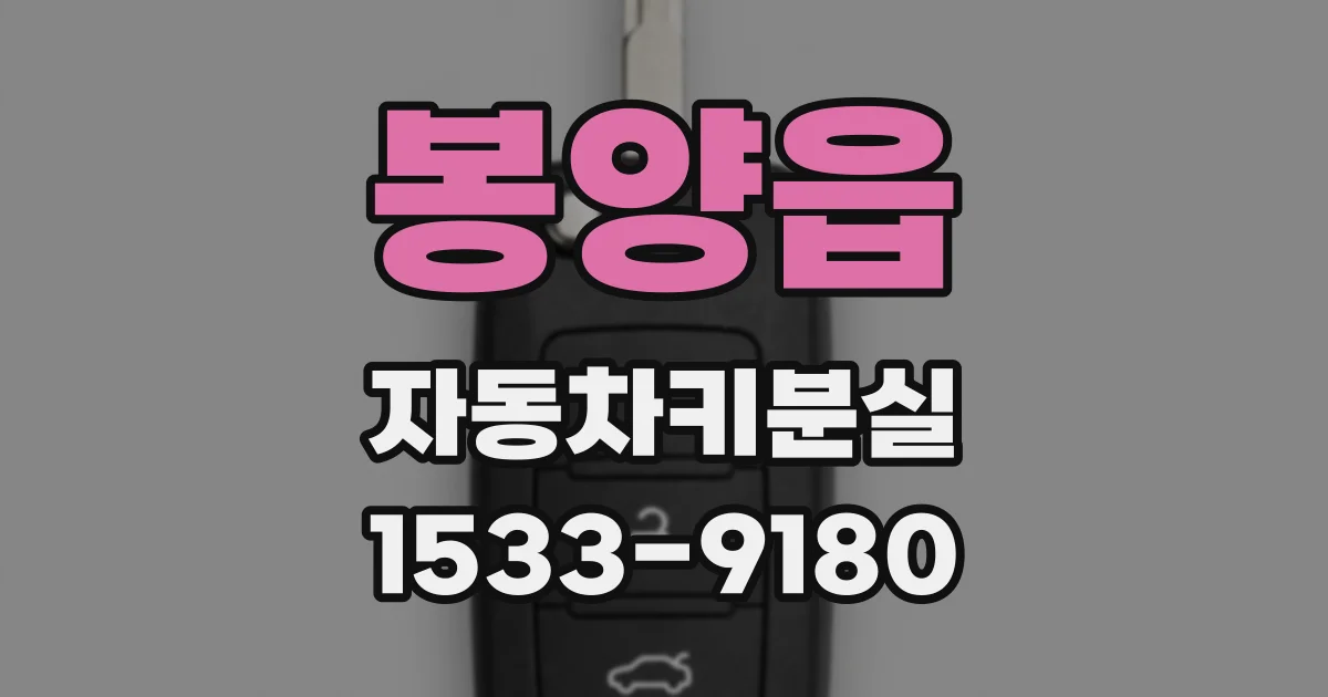 봉양읍 자동차키분실