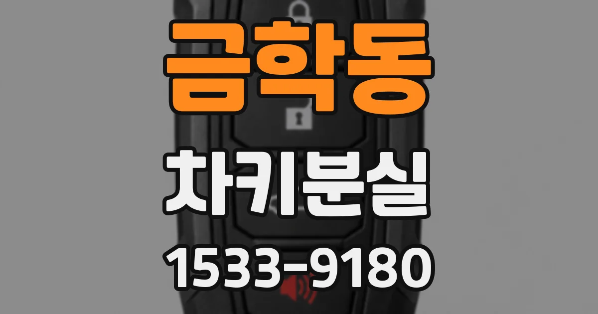 금학동 차키분실