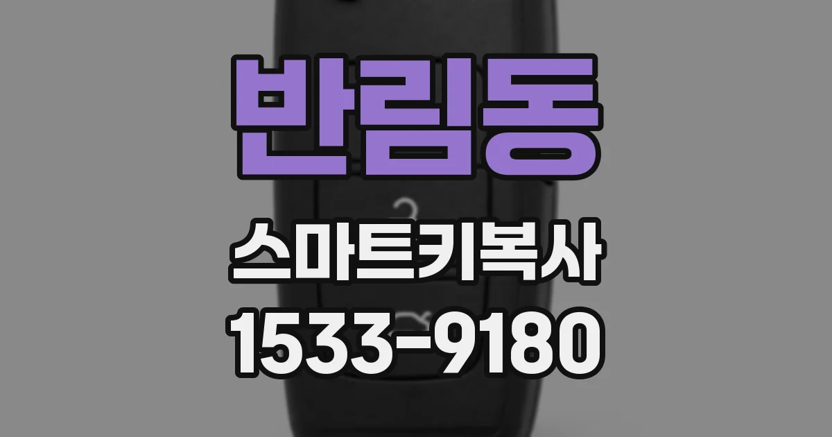 반림동 스마트키복사