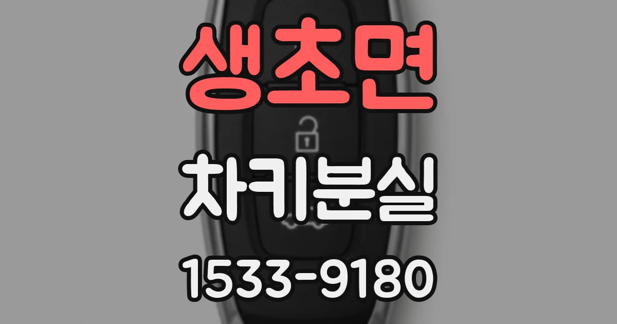 생초면 차키분실