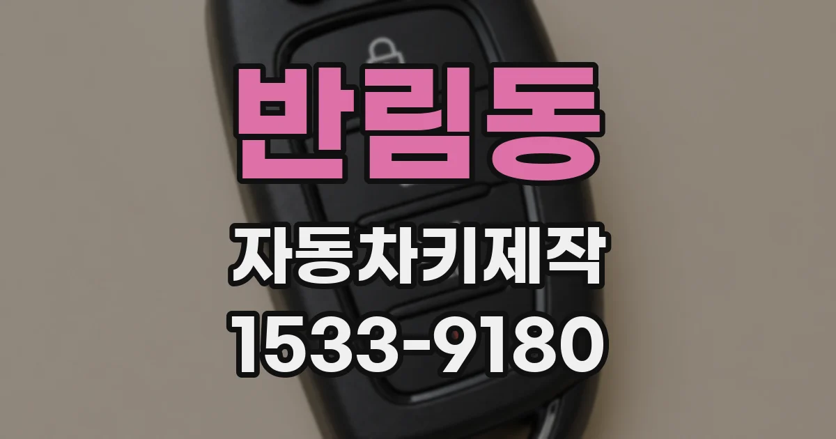 반림동 자동차키제작