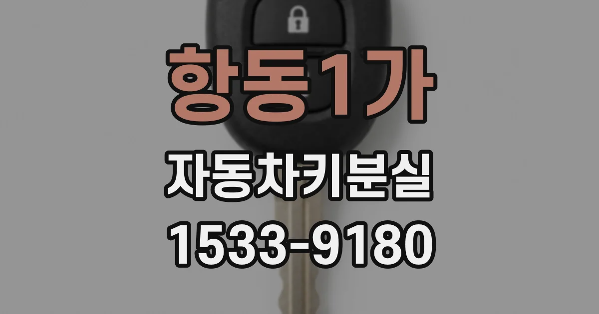 항동1가 자동차키분실