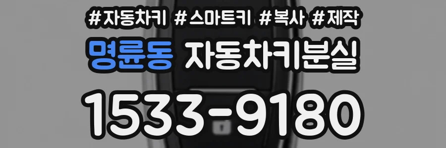 명륜동 자동차키분실