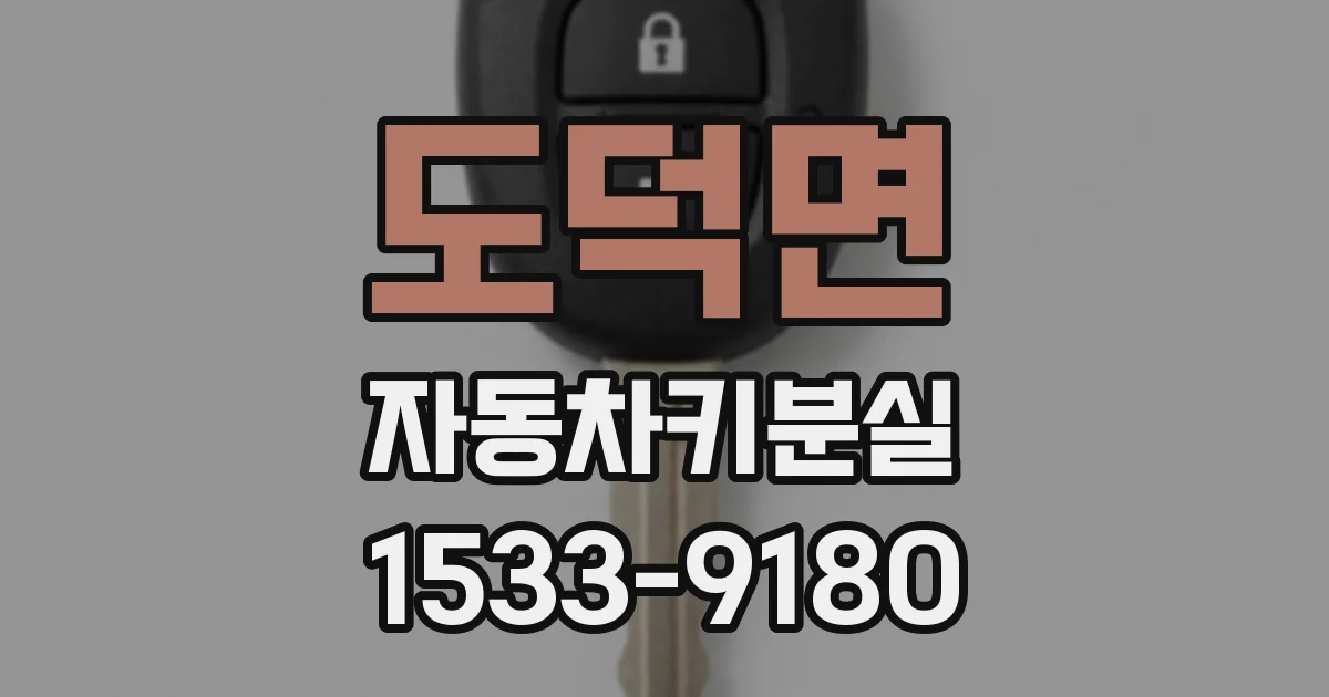 도덕면 자동차키분실