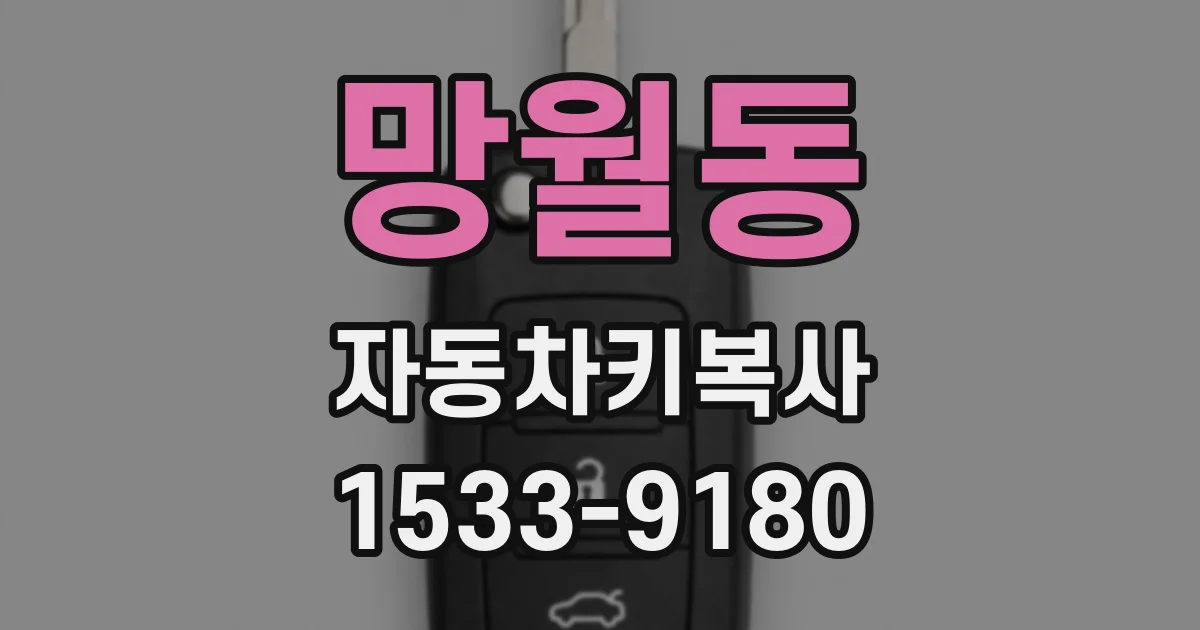 망월동 자동차키복사