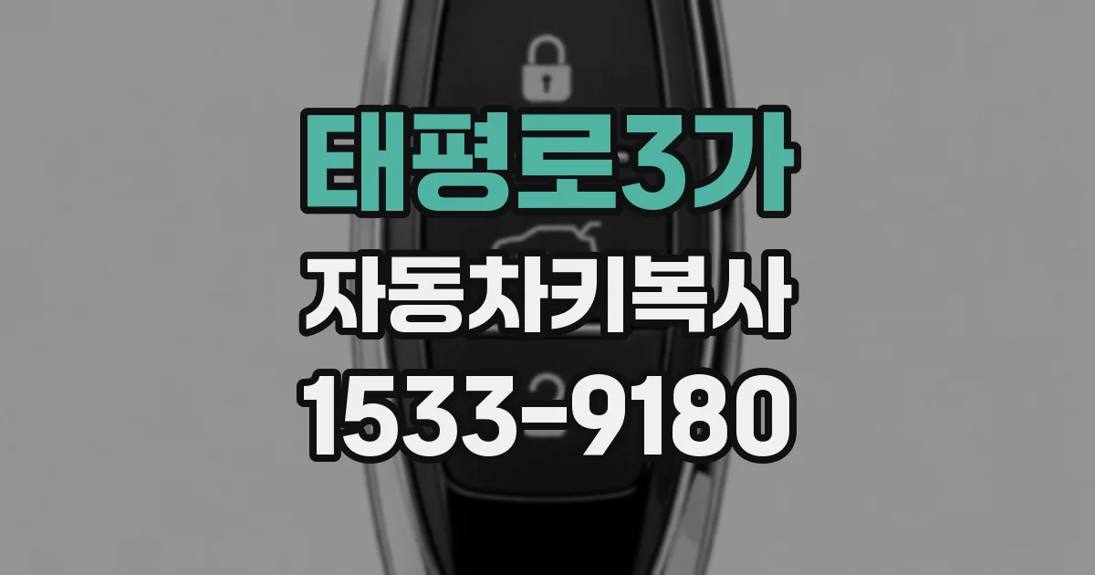 태평로3가 자동차키복사