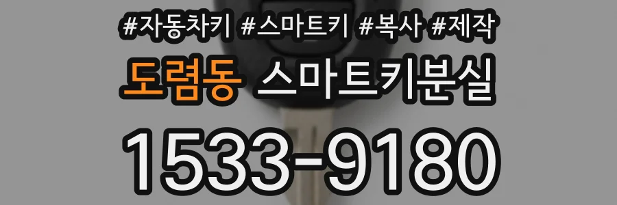 도렴동 스마트키분실