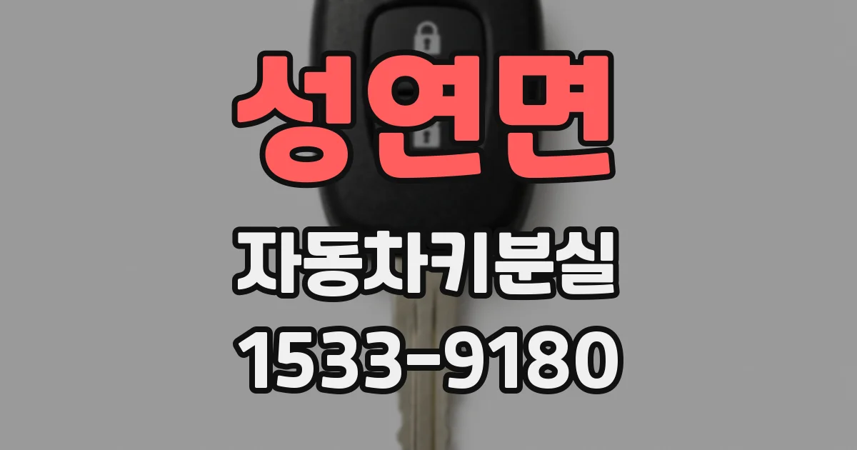 성연면 자동차키분실