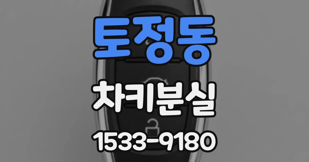 토정동 차키분실