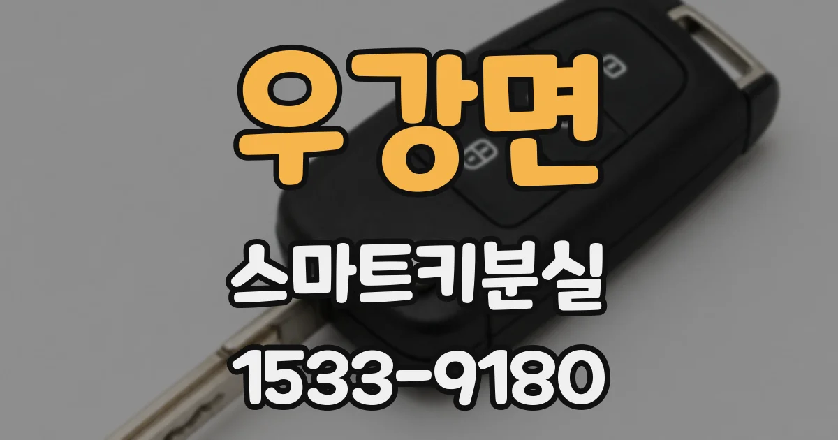 우강면 스마트키분실