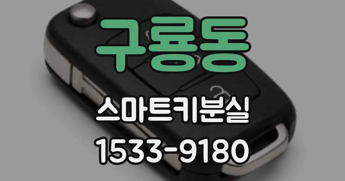 구룡동 스마트키분실