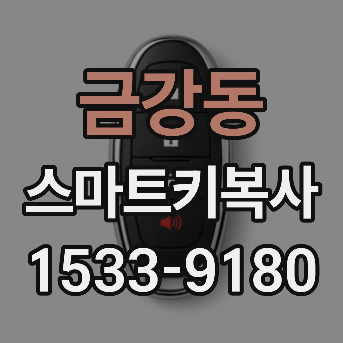 금강동 스마트키복사