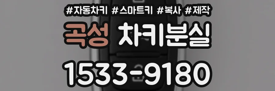 곡성 차키분실