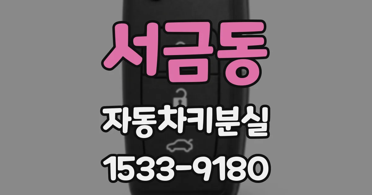 서금동 자동차키분실