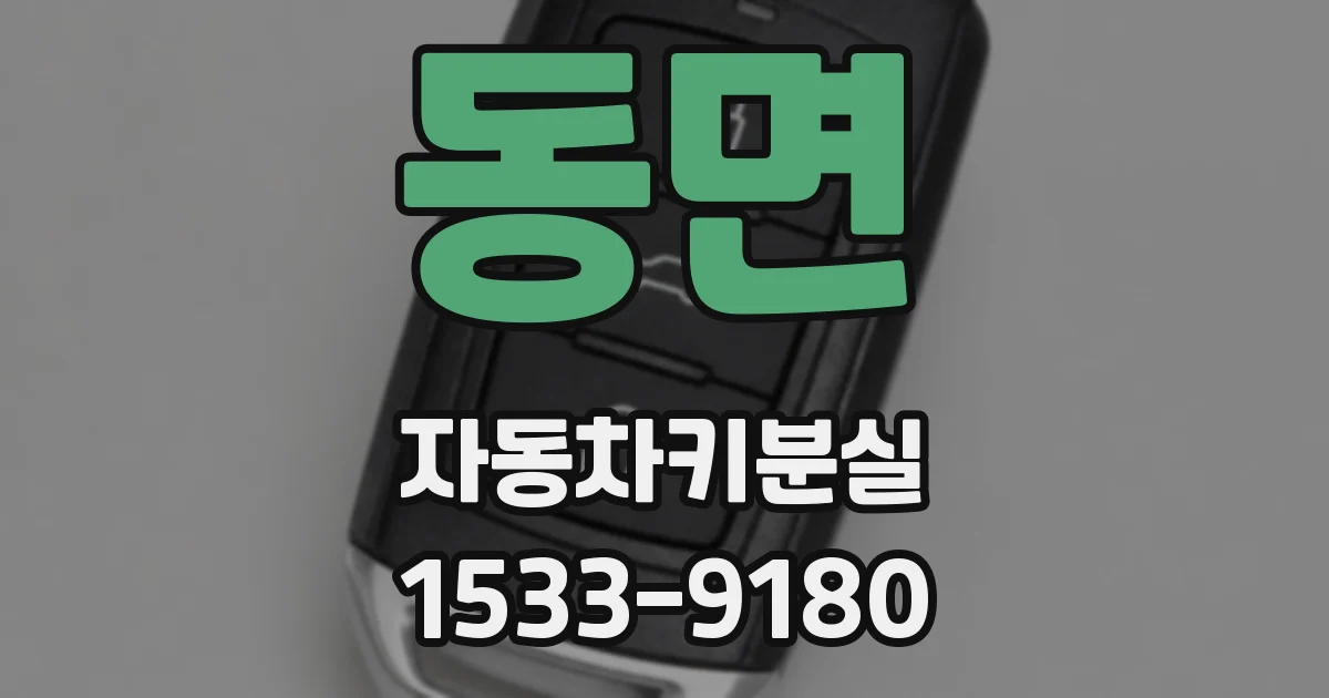 동면 자동차키분실