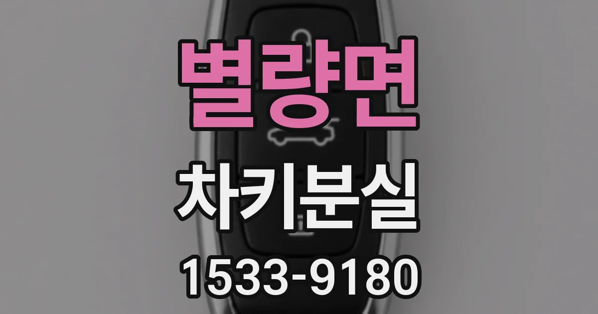 별량면 차키분실