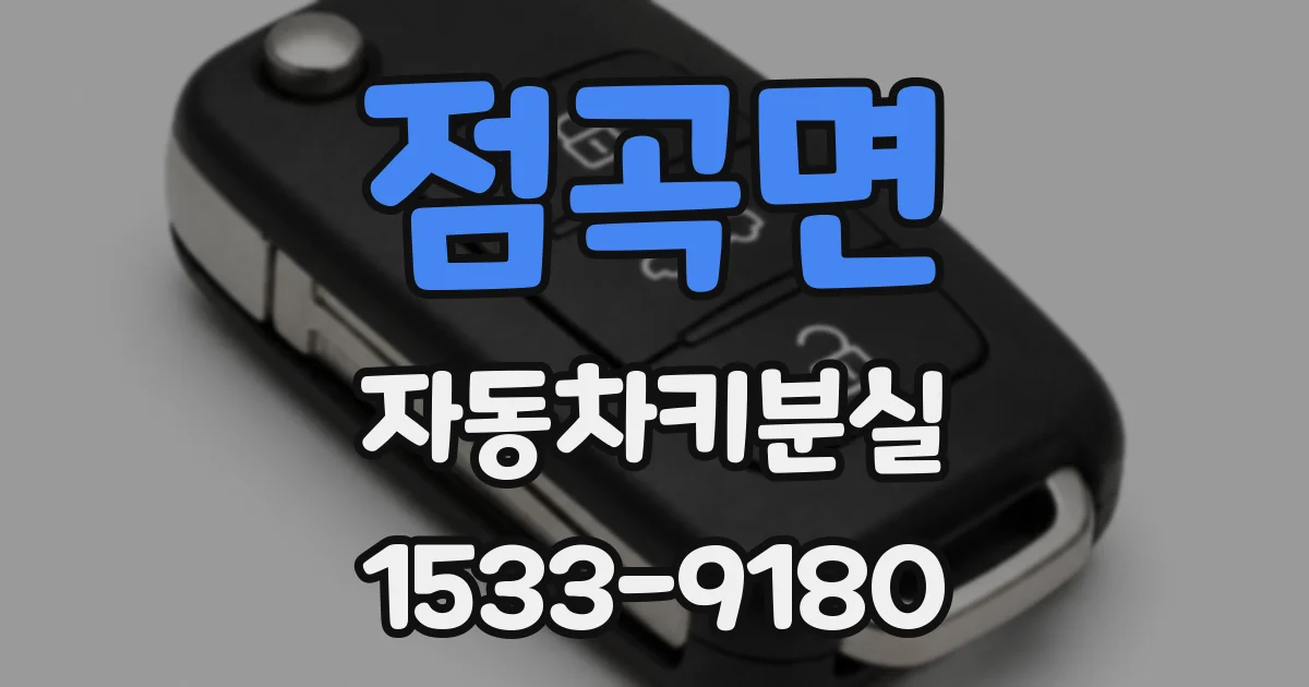 점곡면 자동차키분실