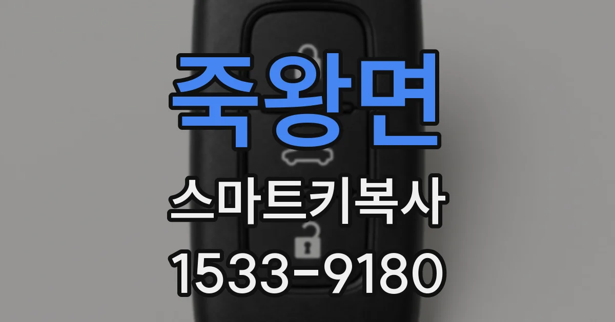 죽왕면 스마트키복사