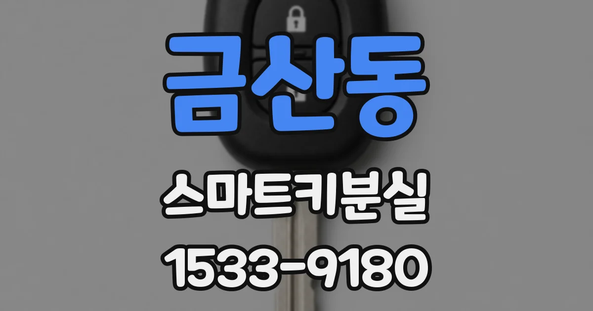 금산동 스마트키분실
