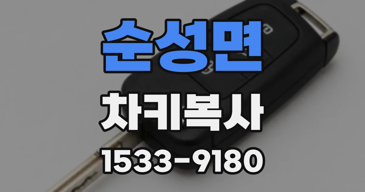 순성면 차키복사