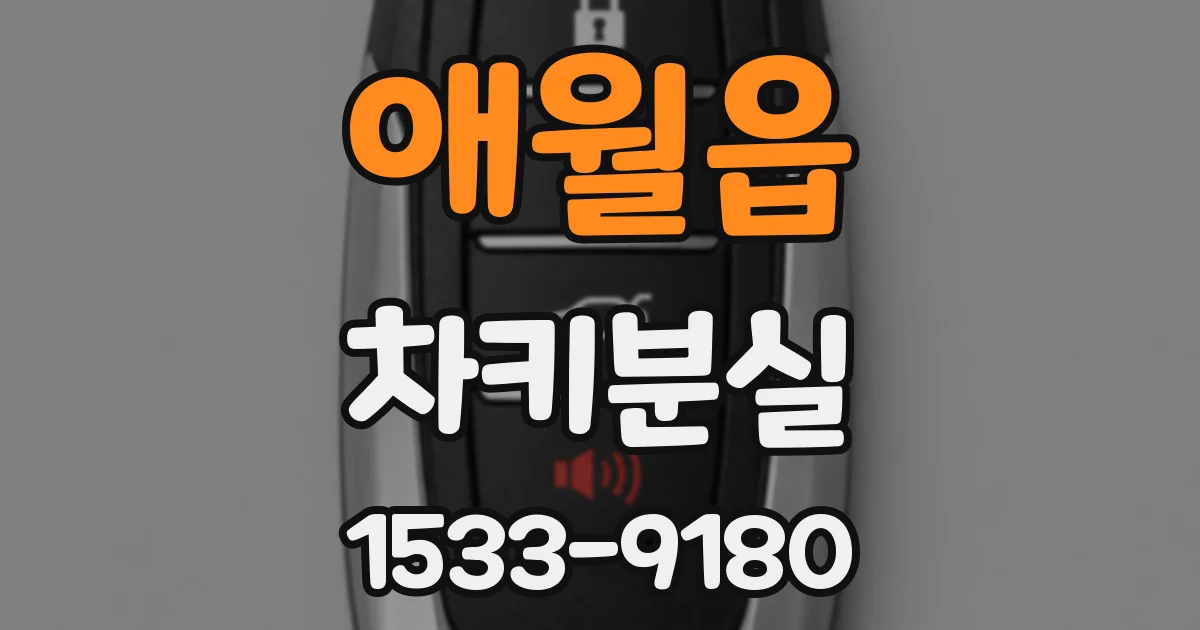 애월읍 차키분실