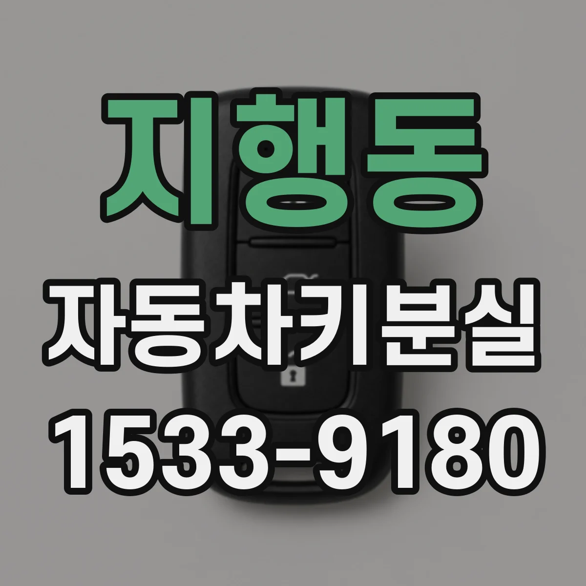 지행동 자동차키분실
