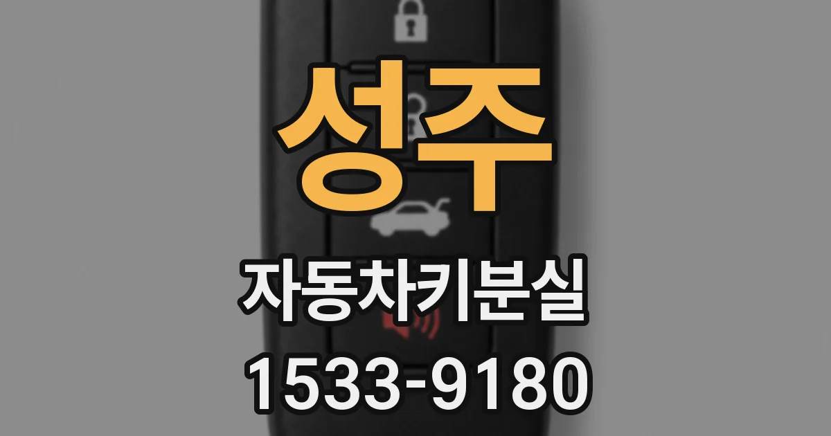 성주 자동차키분실