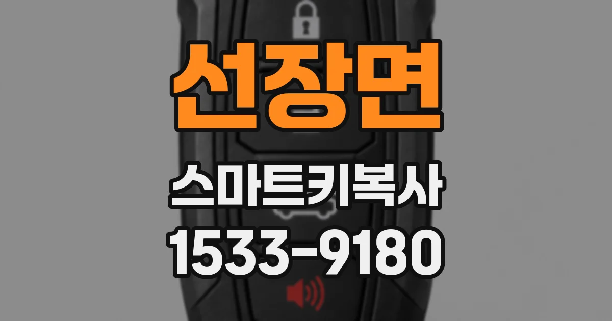 선장면 스마트키복사