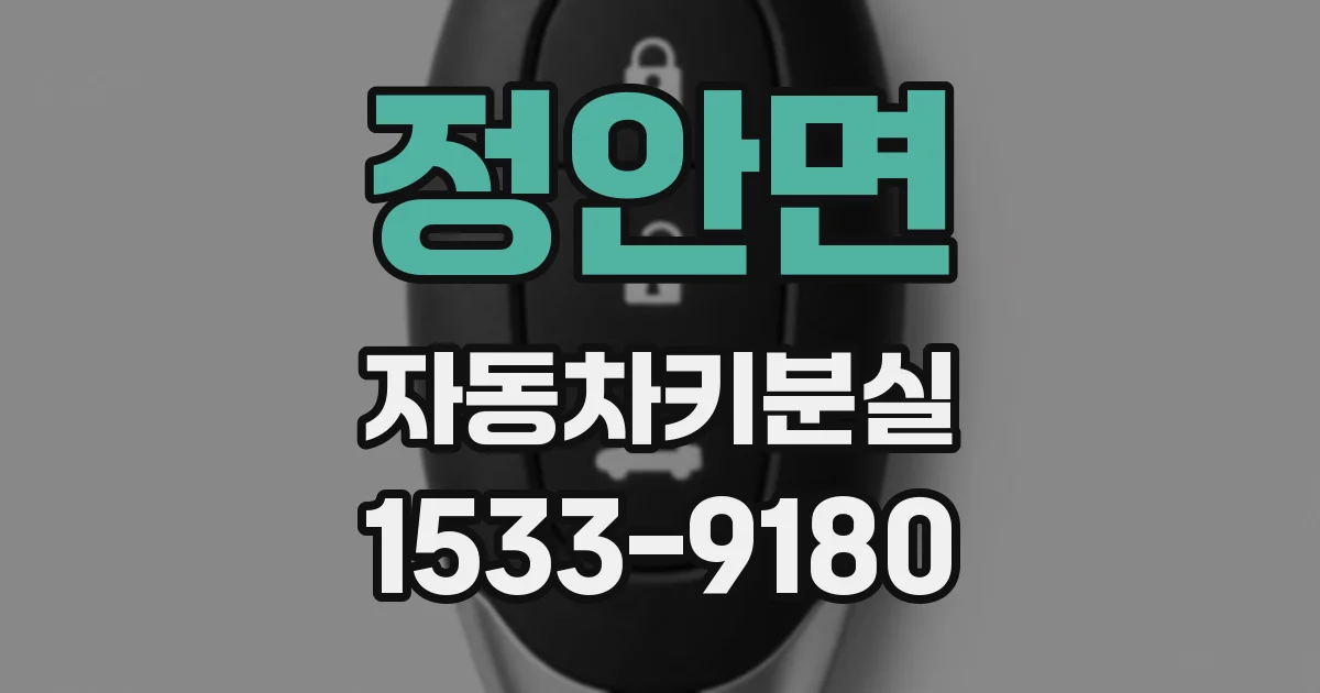 정안면 자동차키분실