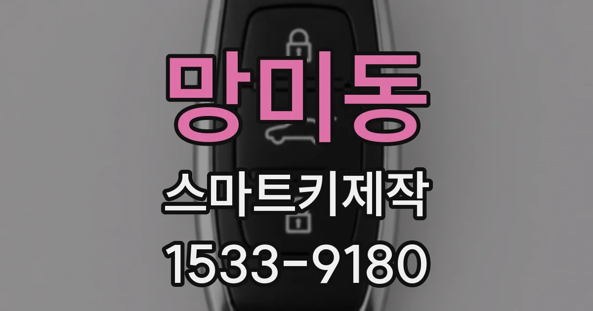 망미동 스마트키제작