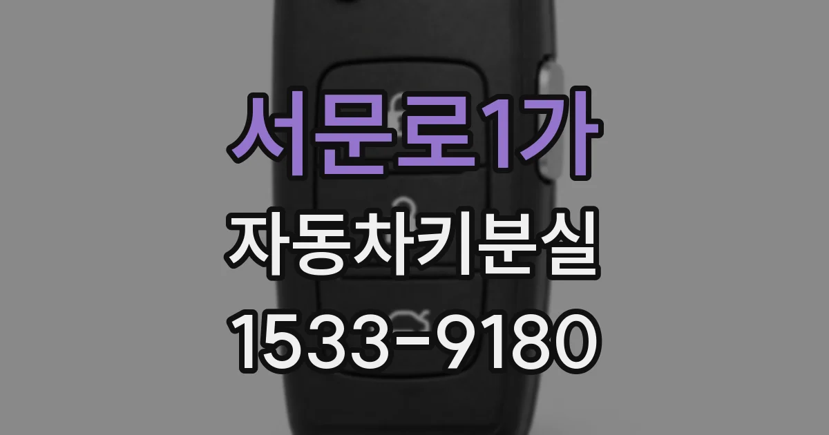 서문로1가 자동차키분실
