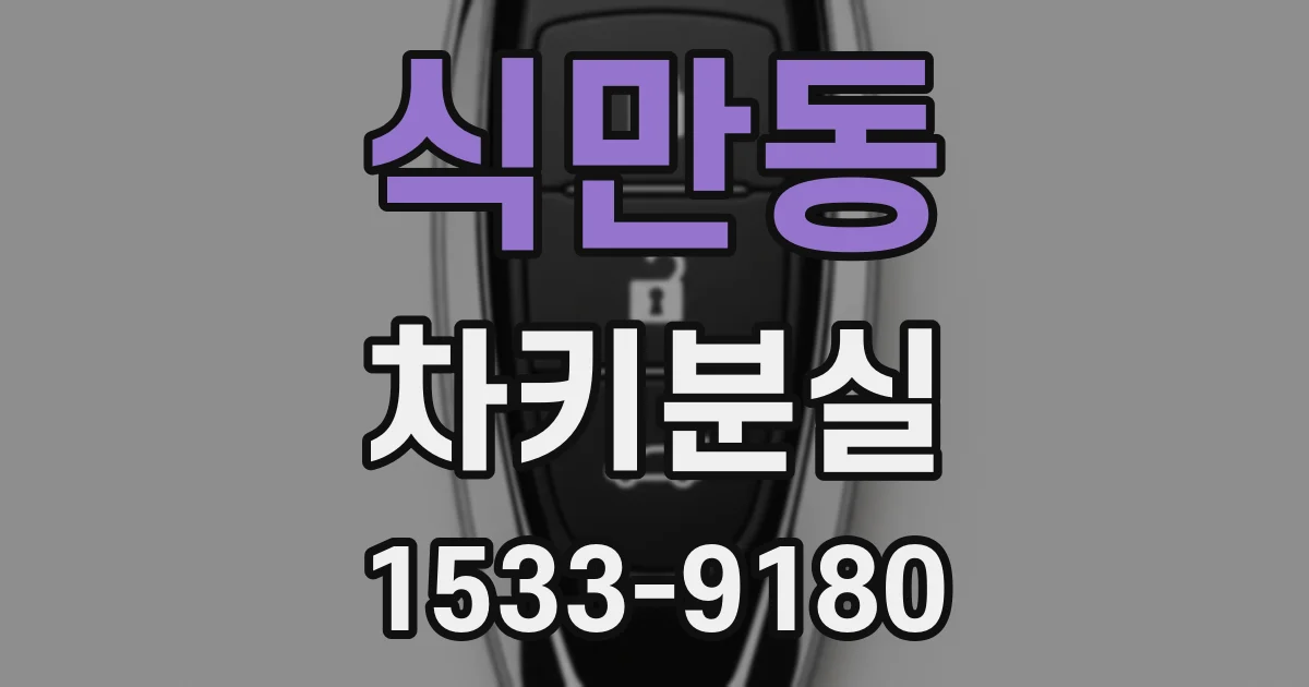 식만동 차키분실