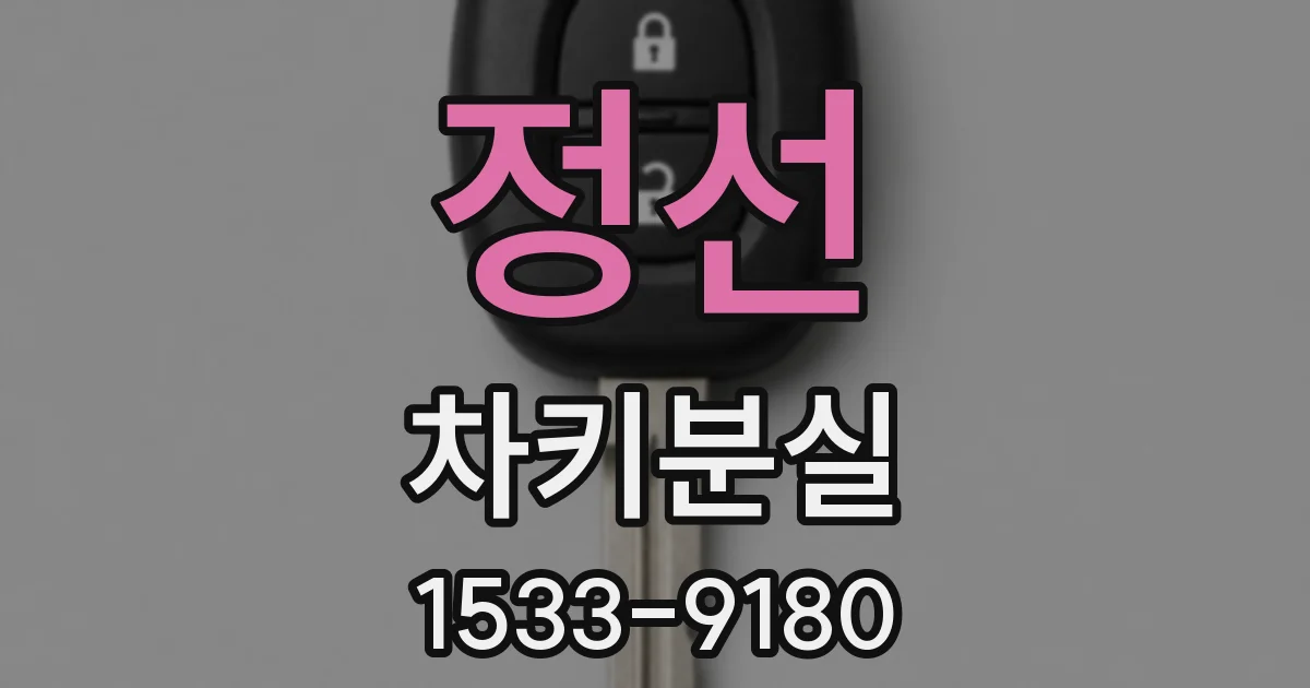 정선 차키분실