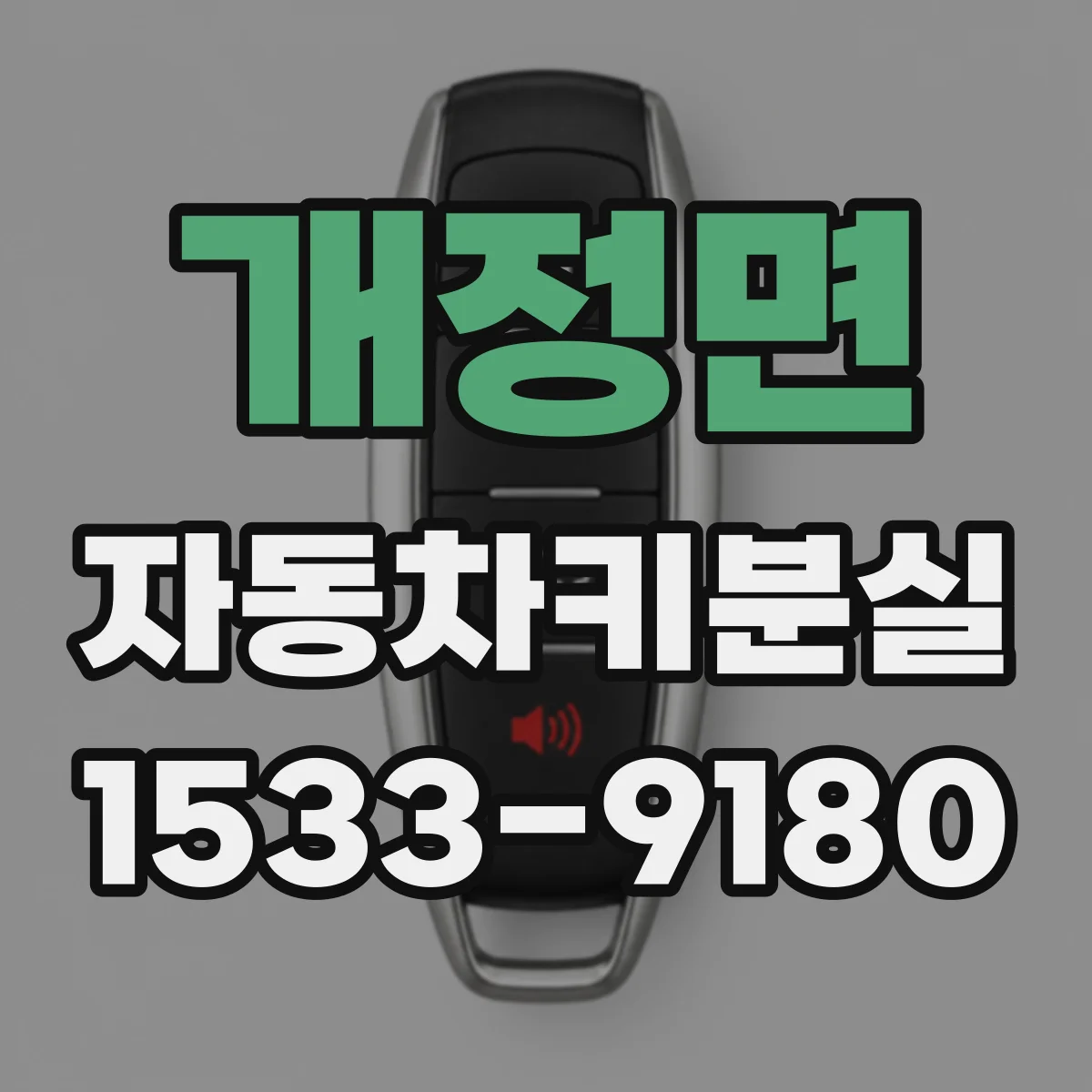 개정면 자동차키분실