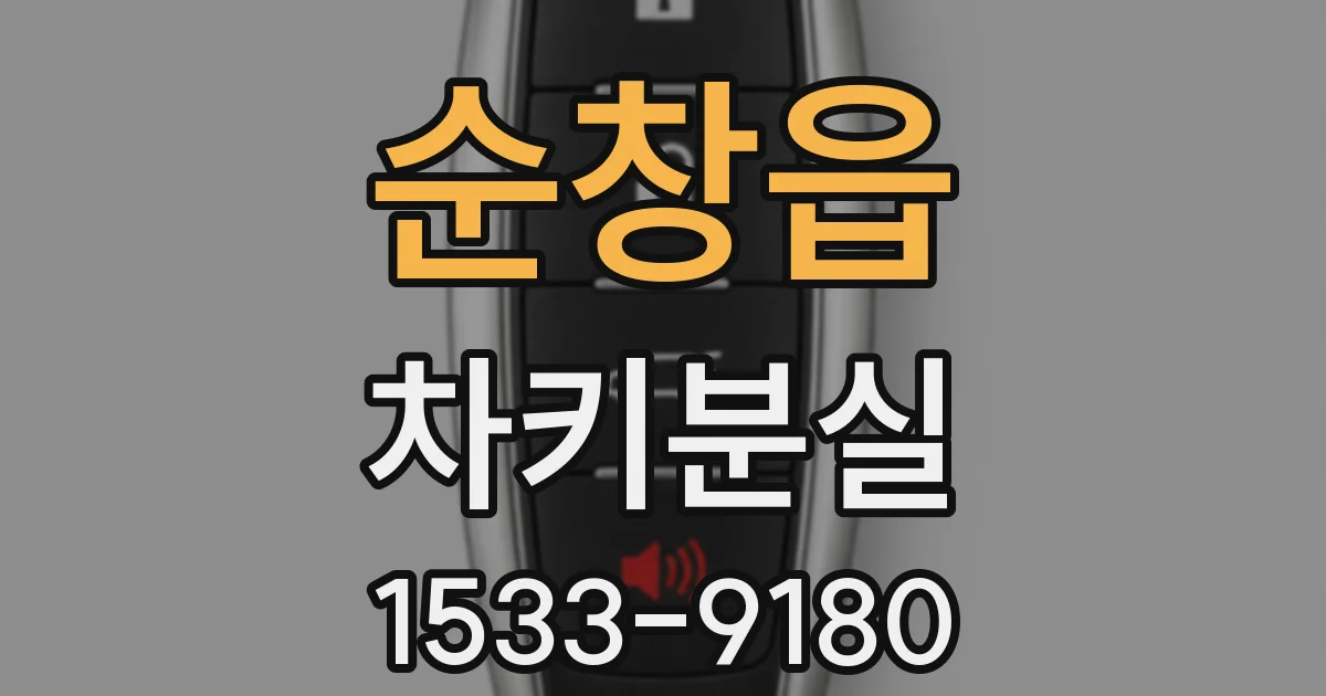 순창읍 차키분실