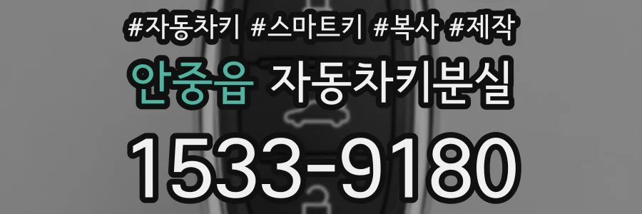 안중읍 자동차키분실