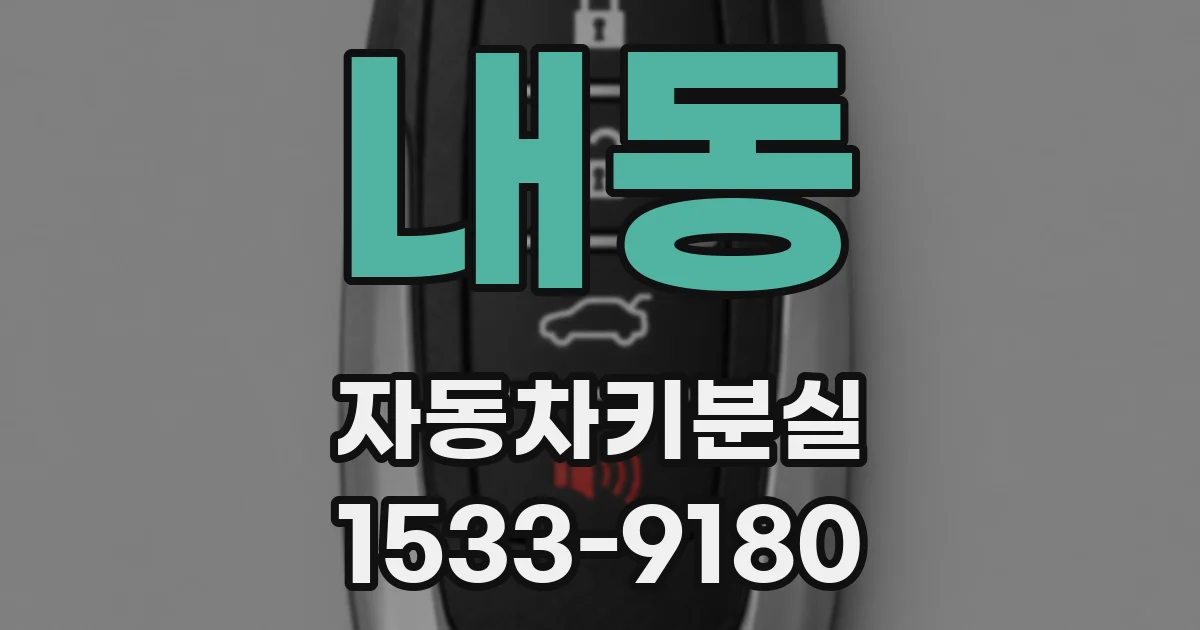 내동 자동차키분실