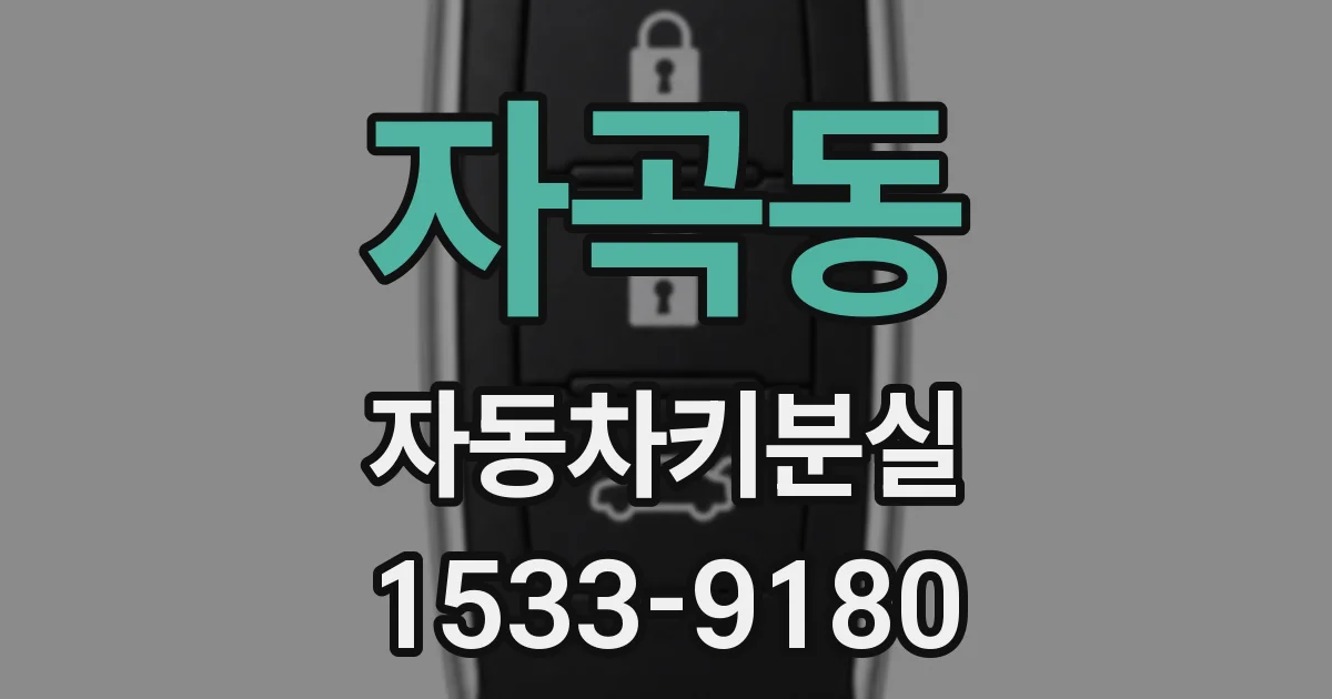 자곡동 자동차키분실