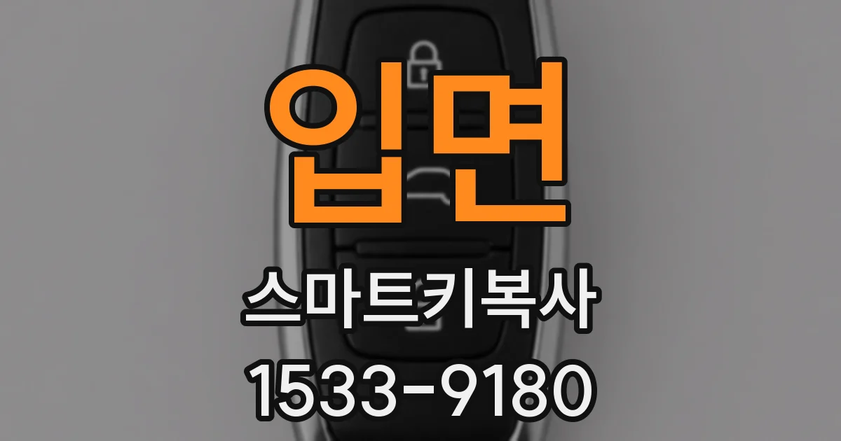입면 스마트키복사