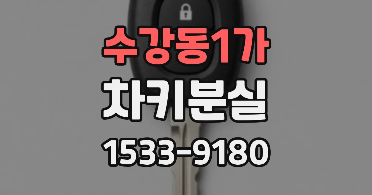 수강동1가 차키분실