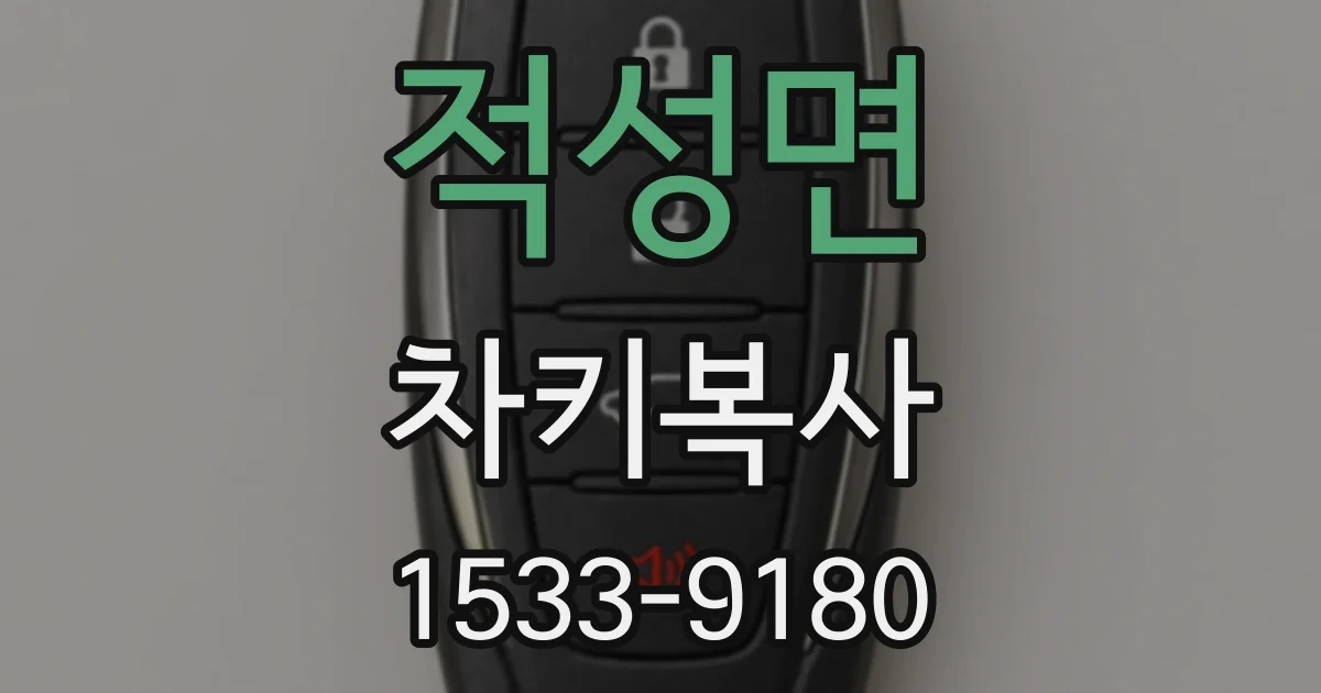 적성면 차키복사