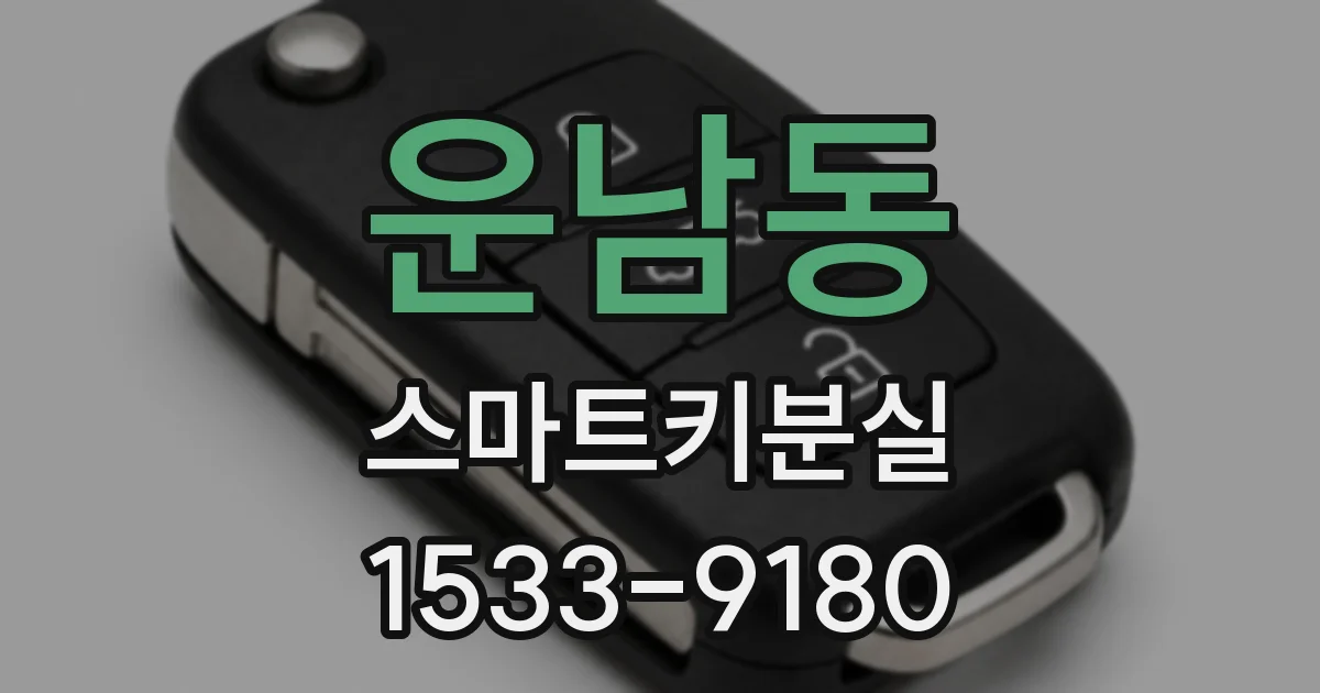 운남동 스마트키분실
