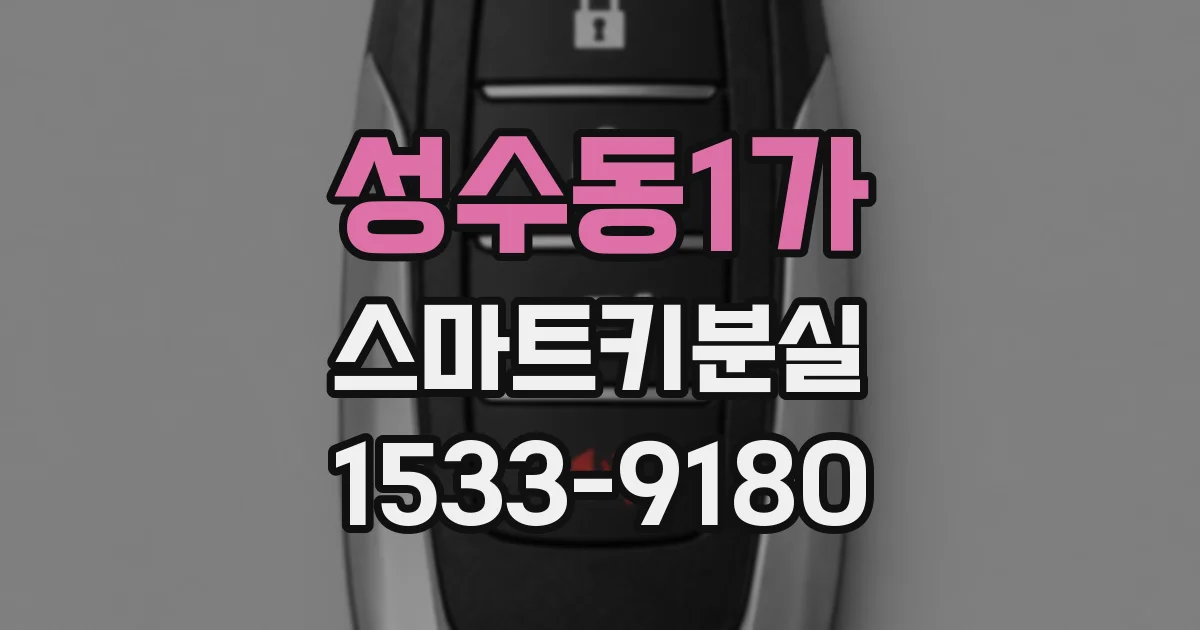 성수동1가 스마트키분실