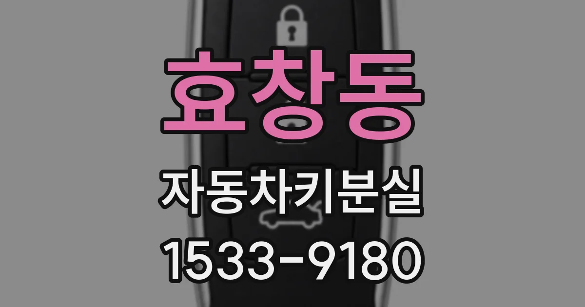 효창동 자동차키분실