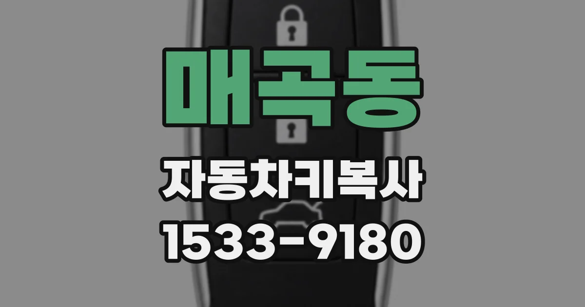 매곡동 자동차키복사