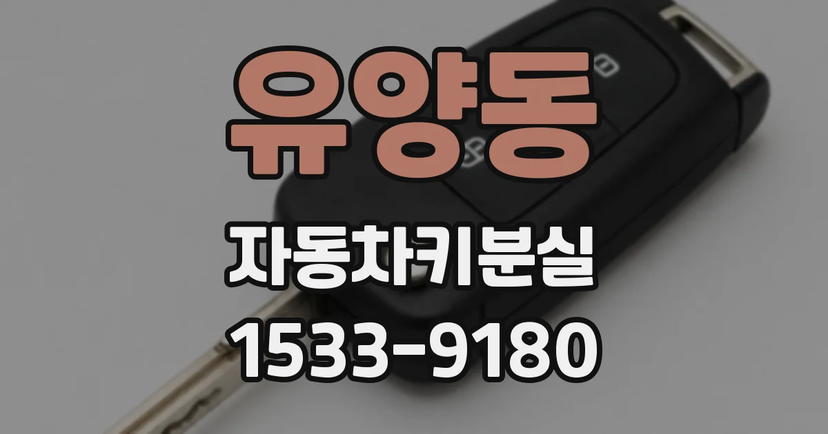 유양동 자동차키분실