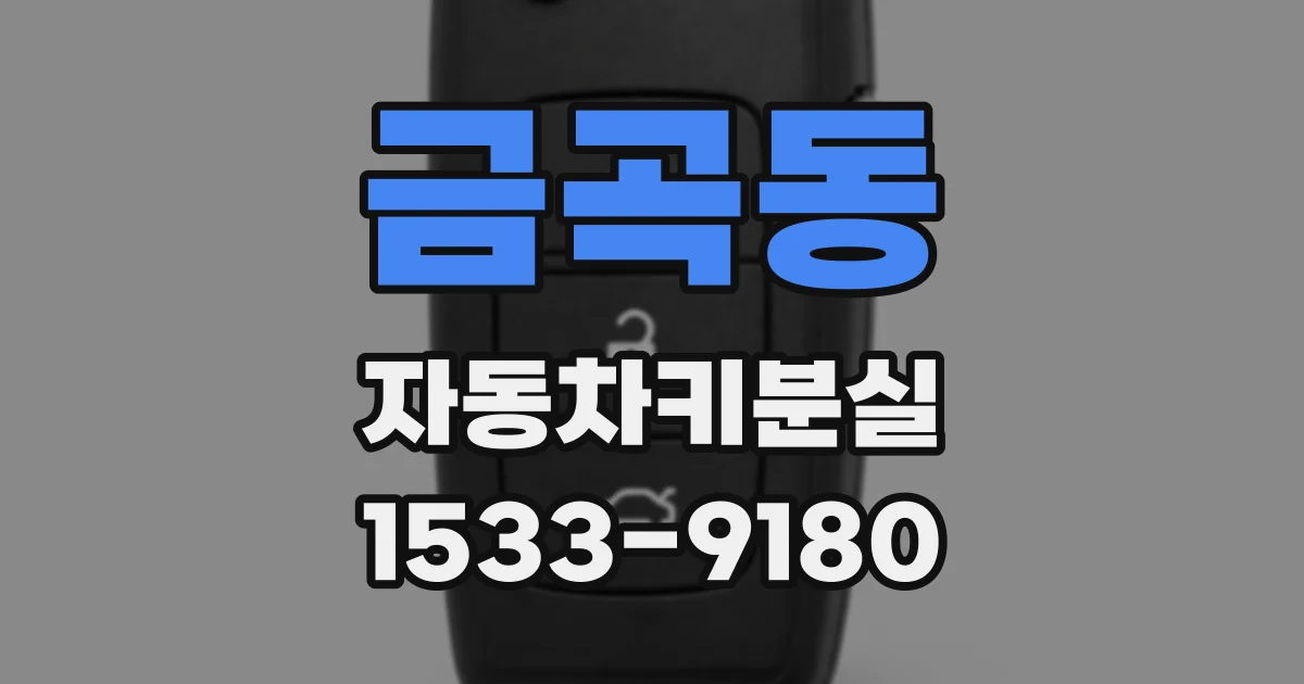 금곡동 자동차키분실