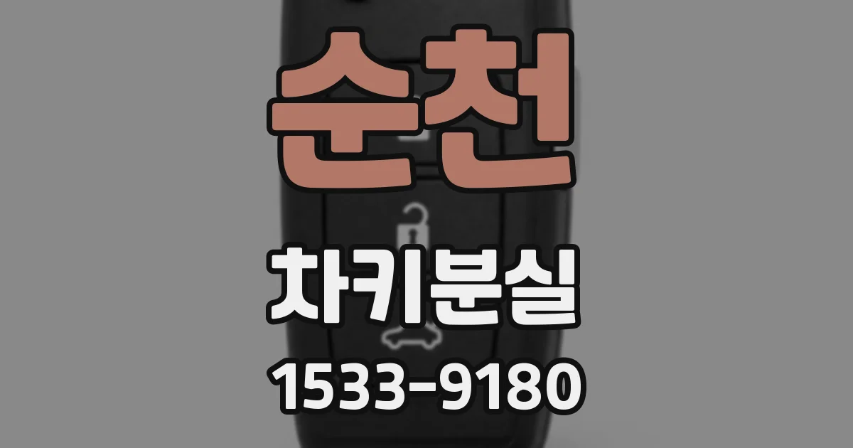 순천 차키분실