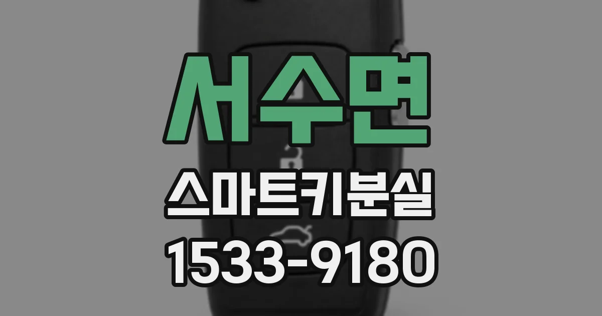 서수면 스마트키분실